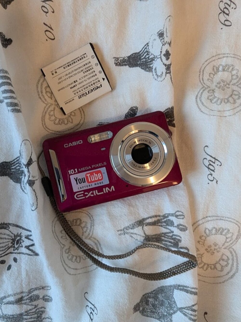 Casio Exilim EX-Z29 Digital Camera (10.1 megapixels, 3x optical zoom)